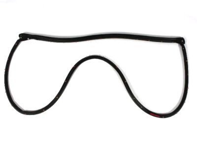 Mopar 5074513AB Weatherstrip Front Door Mounted