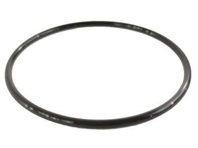 Ram 68101172AA Pump O-Ring
