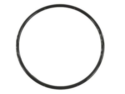 Ram 68101172AA Pump O-Ring