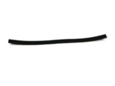 Dodge 55277355AA MOLDING Roof