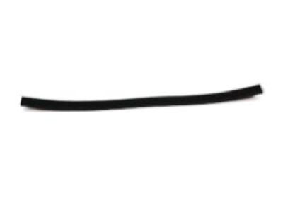 Dodge 55277355AA MOLDING Roof