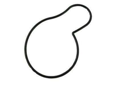 Chrysler 4621564 SEAL Water Pump Body