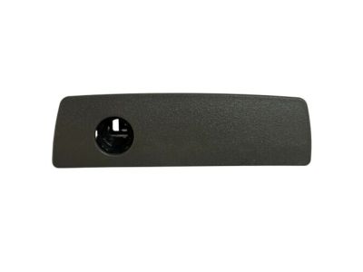 Jeep 5JM55ZJ8AB LATCH Glovebox Door