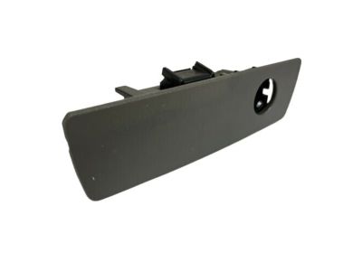 Jeep 5JM55ZJ8AB LATCH Glovebox Door