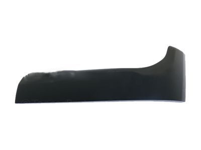 Ram 6NB31TZZAB Side Trim