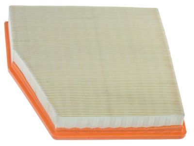 Mopar 68214516AA Air Filter