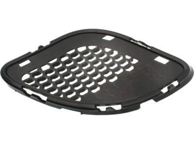 Mopar 68158580AB Outer Grille, Front Passenger Side