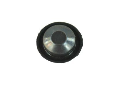 Ram 4780615AB PLUG Body .75 Diameter