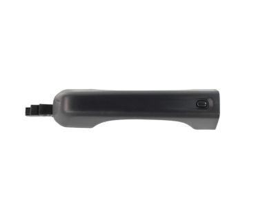 Jeep 68307269AC HANDLE Exterior Door