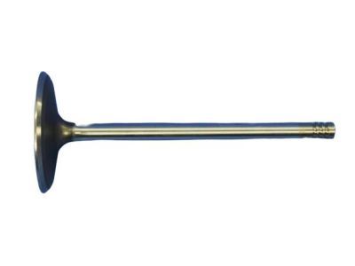 Ram Intake Valve - 5045487AC