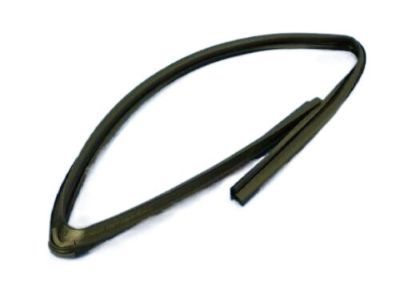 Dodge 5076871AF WEATHERSTRIP Front Door Glass Glass Run