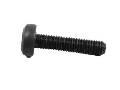 Jeep 68064780AA BOLT Torx Head M8x32 Included In The Pump