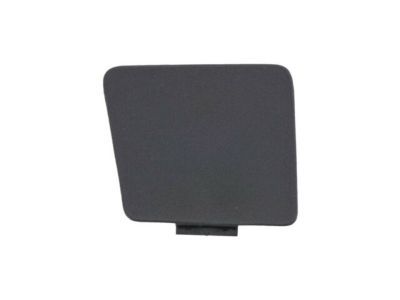 Ram 1WD62DX9AA COVER Release Handle Bezel