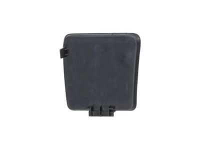 Ram 1WD62DX9AA COVER Release Handle Bezel