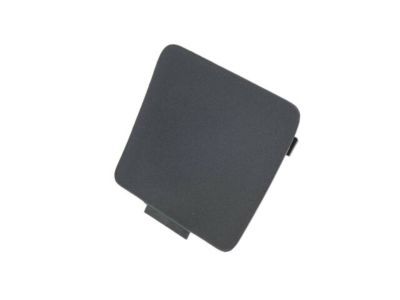 Ram 1WD62DX9AA COVER Release Handle Bezel