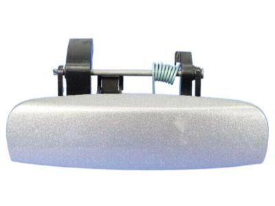 2017 Dodge Charger Door Handle - 1MZ81JSCAG