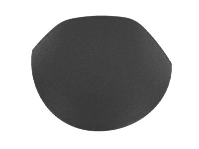 Chrysler 1VU83DX9AB BEZEL Hood