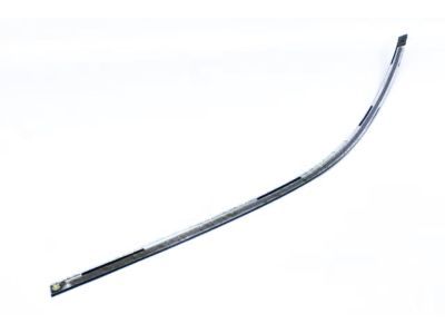 Mopar 68224368AD Molding Day Light Opening Front Door