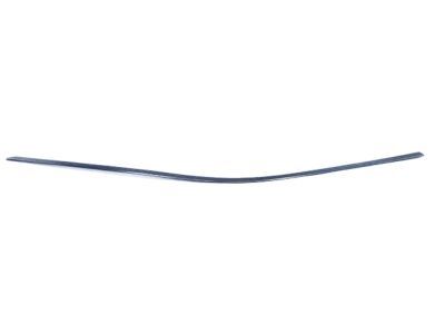 Mopar 68224368AD Molding Day Light Opening Front Door