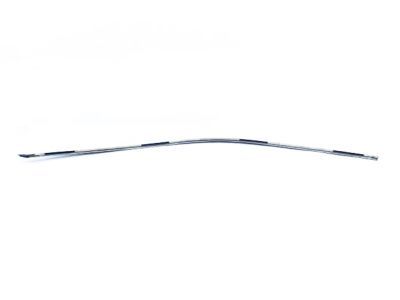 Mopar 68224368AD Molding Day Light Opening Front Door
