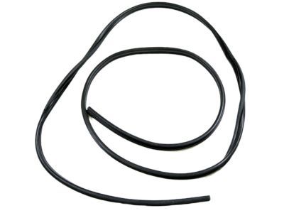 Ram 68226111AA WEATHERSTRIP Sliding Door