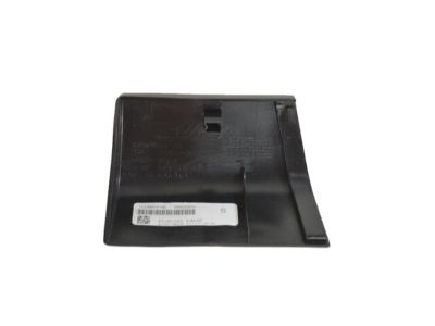 Mopar 1CZ98RXFAA Cladding Front Sill