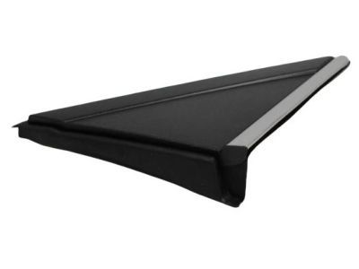 Dodge 1BE421XFAB APPLIQUE MIRROR FLAG