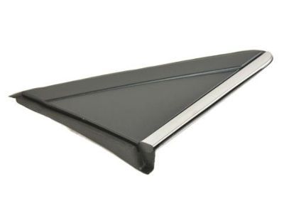 Dodge 1BE421XFAB APPLIQUE MIRROR FLAG