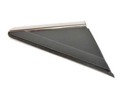 Dodge 1BE421XFAB APPLIQUE MIRROR FLAG