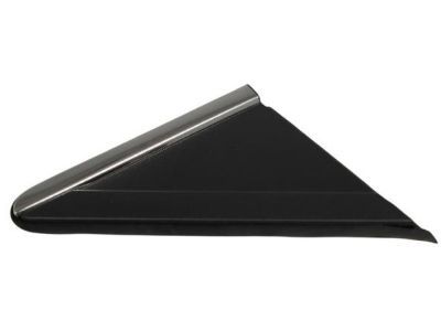 Dodge 1BE421XFAB APPLIQUE MIRROR FLAG