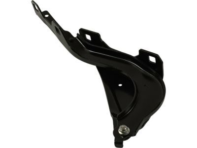 Mopar 68290463AB Hinge, Front Driver Side