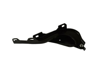 Mopar 68290463AB Hinge, Front Driver Side