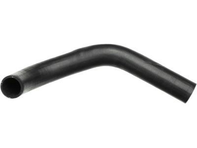 Dodge 52028010 HOSE, Outlet