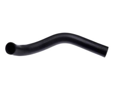 Dodge 52028010 HOSE, Outlet