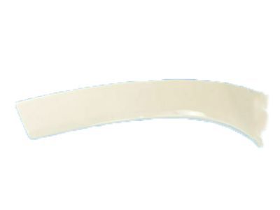Ram 1ZT59ZZZAA Headlamp Bezel