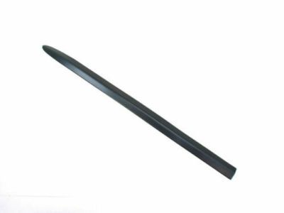 2011 Ram Dakota Door Moldings - 55077174AD
