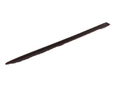 Dodge 55077174AD MOLDING Front Door