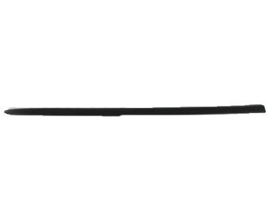Dodge 55077174AD MOLDING Front Door