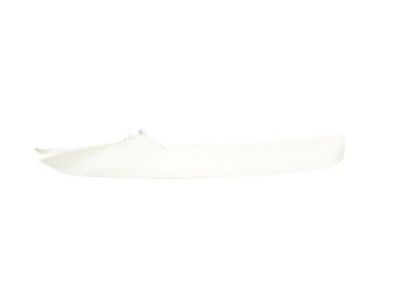 Dodge 1GY87DW1AD MOLDING Windshield Garnish