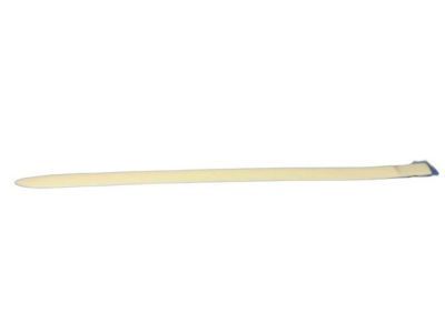 Dodge 5189392AB MOLDING Rear Door