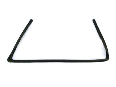 Dodge 5076871AD WEATHERSTRIP Front Door Glass