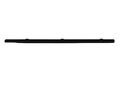 Dodge Ram 3500 Weather Strip - 55276203AC