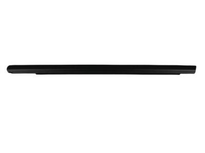 Dodge Weather Strip - 4806001AB