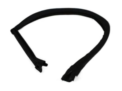Dodge 4575891AK Run Weatherstrip
