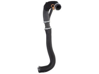 Mopar 4598103AE Hose And Clamp Radiator Outlet