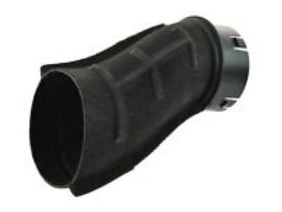 Dodge 68171669AB DUCT AIR