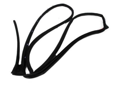 Mopar 68045992AA Weatherstrip Rear Door Mounted