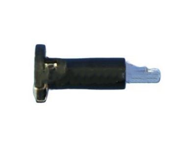 Mopar 68191740AA Bulb And Socket Heater And A/C Control Auxiliary Control