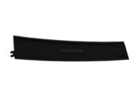 Mopar 4806146AB Applique, Front Passenger Side