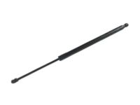 Mopar 68289852AB Lift Cylinder